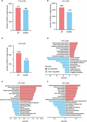 Gene Expression Signatures Reveal Common Virus Infection Pathways in Target Tissues of Type 1 Diabetes, Hashimoto’s Thyroiditis, and Celiac Disease